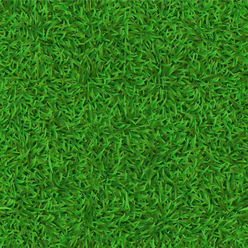Grass Carpets 1
