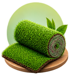 Grass Carpets