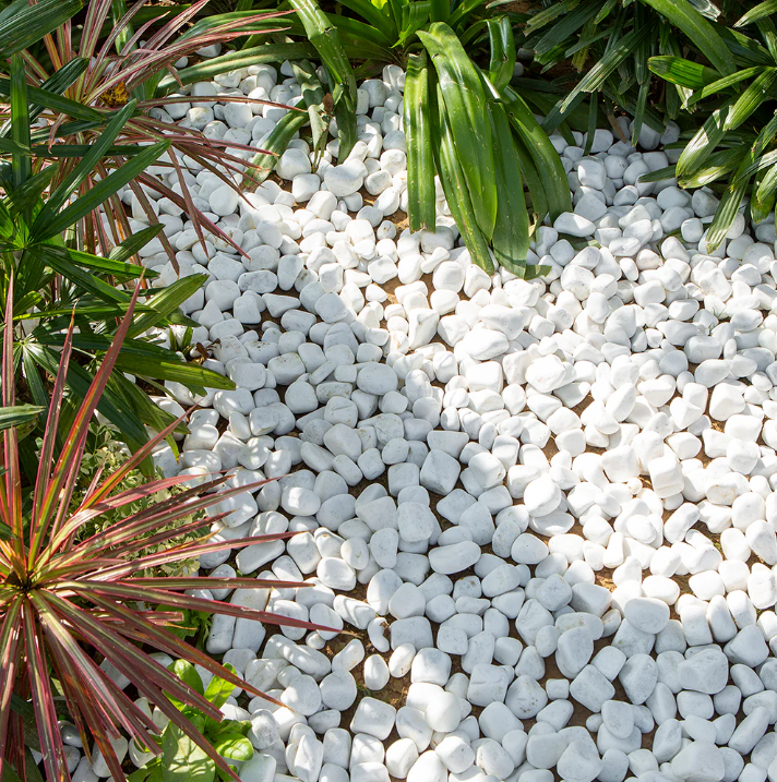 Stones 1