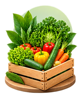 Vegetable Plants